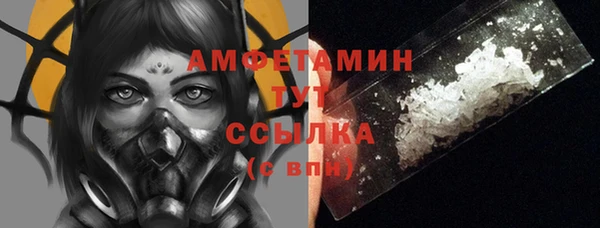 индика Балабаново
