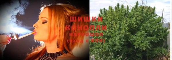 индика Балабаново