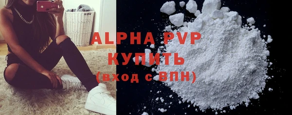 индика Балабаново