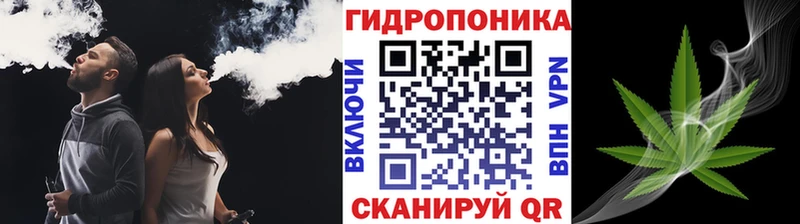 Бошки Шишки ГИДРОПОН  Салаир 